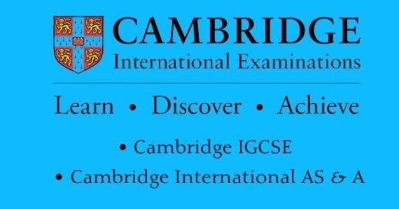 CAMBRIDGE A LEVEL REQUIREMENTS visual data 7